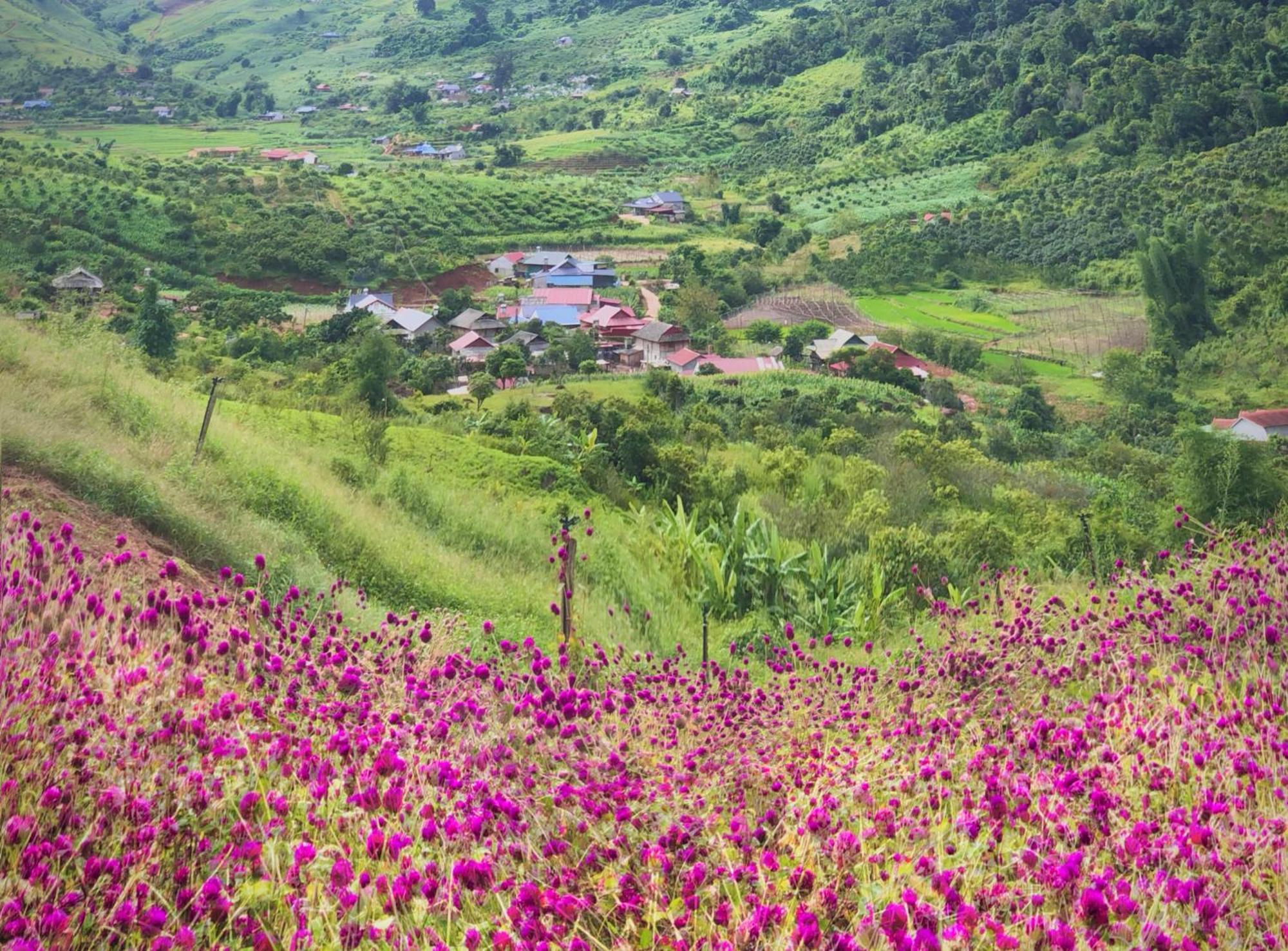 Muong Sang Farmstay Moc Chau Exteriör bild